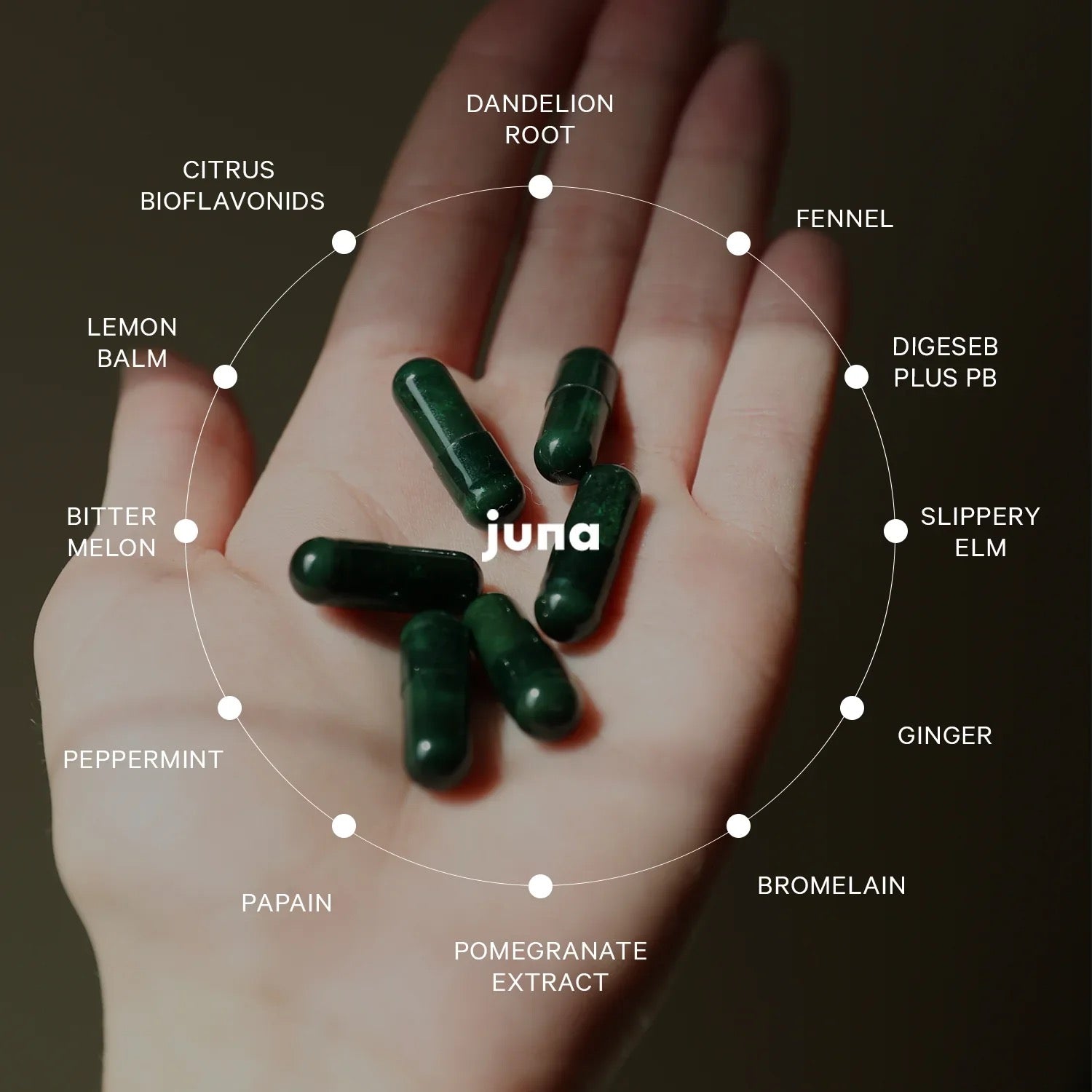 Juna Digestive Enzymes